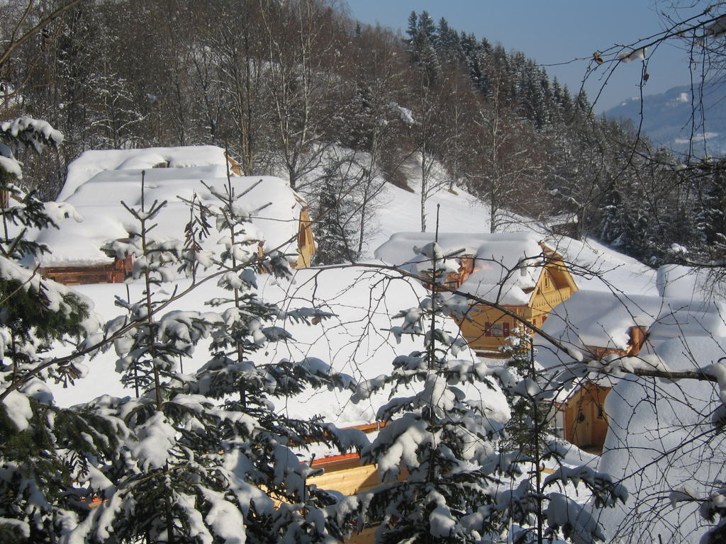 Naturdorf Oberkuehnreit Нойкірхен-ам-Гросфенедігер Екстер'єр фото